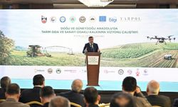 Cumhurbaşkanı Yardımcısı "Mersin-Şırnak Hattı Açılıyor"