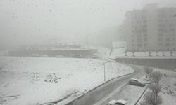 Bölgede Nisan ayında kar esareti