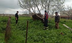 Kuyuya düşen ineği itfaiye kurtardı