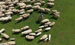 Genç besicilere büyük destek başladı