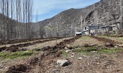 Hibeli Proje ile Şırnak’ta Tarım Canlanıyor