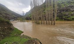 Hakkari kara yolu sel suları nedeniyle kapandı