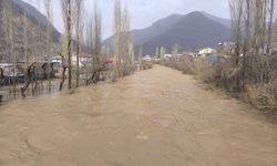 Şiddetli yağış sonrası Habur Çayı coştu