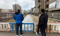 Bereket taşkını 10 yıl sonra gelen görsel şölen