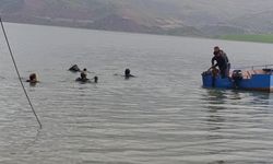 Otomobil Botan  baraj gölüne düştü