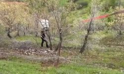 Siirt yolunda kamyonet uçuruma yuvarlandı