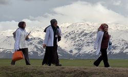 Fedakar ebeler gebeler için yollarda