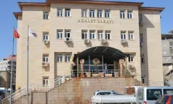 Cizre’de İstismar Soruşturması, Bir Tutuklama