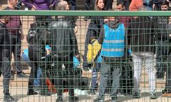 Boşanma Davası Adliyede Bıçaklı Kavgaya Dönüştü: 4 Yaralı