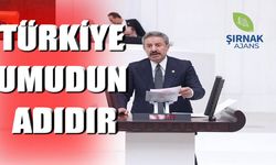 Tatar’dan Meclis’te çarpıcı konuşma “Türkiye umudun adıdır”