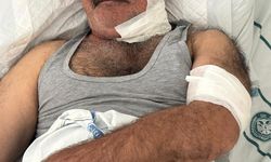 At sahibini boğazından ısırarak ağır yaraladı