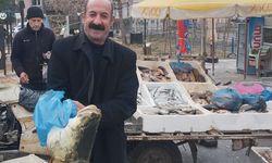 Diyarbakır’da av yasağı başladı