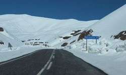 Yol çalışmalarına çığ riski nedeniyle ara verildi