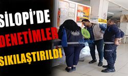 Silopi’de restoran ve yemek evlerine denetim