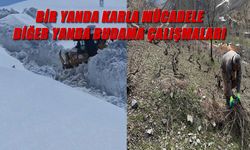 Beytüşşebap’ta şaşırtan tablo, aynı gün hem kar hem bahar