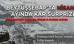 Beytüşşebap’ta Nisan ayında kar sürprizi