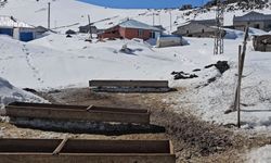 Nisanda kara gömülen mahalle Kışkılı'ya bahar gelmedi