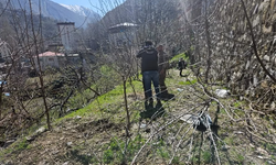 Çiftçilere Budama ve Bakım Eğitimi Sahada Verildi