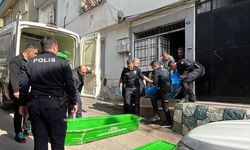 Sosyal medya fenomeni 'Cin Ali'yi öldüren kızı tutuklandı