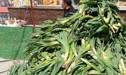 Şifa kaynağı ‘çiriş otu' tezgahlardaki yerini aldı
