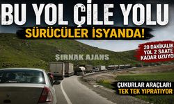 Köstebek yuvasını andıran Cizre–Silopi yolunda sürücüler isyan etti
