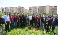 Cizre’de Gelecek Nesiller İçin Fidanlar Toprakla Buluştu
