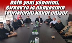 DAİB Şırnak Temsilciliğinde Tebrik Yoğunluğu Başladı
