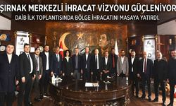 Şırnak merkezli ihracat vizyonu güçleniyor