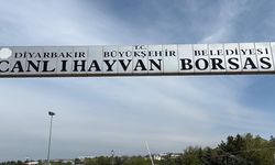 Diyarbakır Canlı Hayvan Borsası tadilata alındı