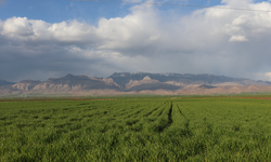 Şırnak'ta Okuma Temalı Fotoğraf Yarışması Başlıyor