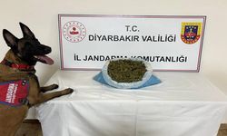Diyarbakır’da 23 kilo esrar ele geçirildi