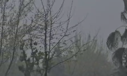 Cizre’de Şiddetli Fırtına ve Sağanak