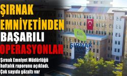 Şırnak’ta Suçlulara Ağır Darbe, 10 Gözaltı