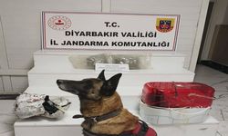 Su Arıtma Cihazında Uyarıcı Madde Bulundu