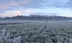 Şırnak’ta Zirai Don Uyarısı, Üreticilere Önemli Çağrı