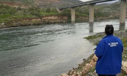 Ilısu’da Sazangil Avına Geçit Yok