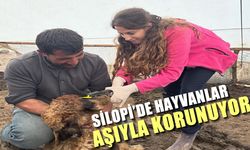 Silopi’de hayvancılığa sağlık desteği