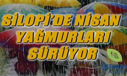 Silopi’de yağışlı hava etkisini sürdürecek