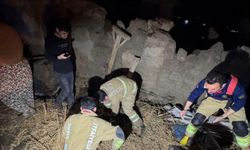 Cizre’de ahır çöktü, Hayvanlar telef oldu