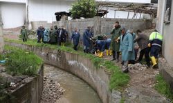 Dicle Nehri’nde su seviyesi yükseldi