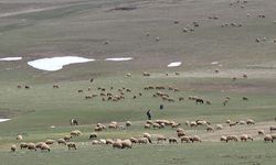 İki Mevsim Aynı Anda Görüntülendi