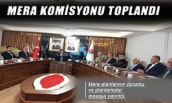 Şırnak’ta İl Mera Komisyonu Toplandı