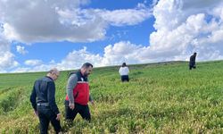 Çiftçilere 'yanlış ilaçlama' uyarısı yapıldı