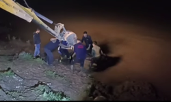 Dicle’ye Düşen İnek İçin Ekipler Seferber Oldu