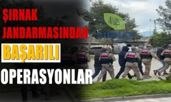 Şırnak Jandarmasından 147 Şüpheliye Operasyon