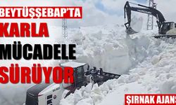 Takvim baharı gösterdi, Beytüşşebap dağlarında kış sürüyor