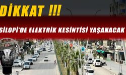 DEDAŞ’tan Silopi için uyarı, yarın elektrik kesintileri var