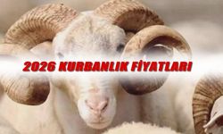 Bayram öncesi kurbanlık telaşı, fiyatlar cep yakıyor