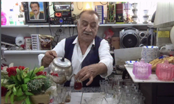 Yarım Asırlık Çınar Kahveci Celu Yoğun Bakımda