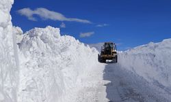 Van'da 5 metreyi bulan karda yol açma çalışması